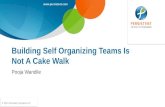 Building Self Organizing Teams Is Not A Cake Walk