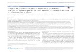 Vaginal prolapse with urinary bladder incarceration and consecutive ...
