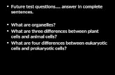 Cells, Prokaryotes vs. Eukaryotes, Animal vs. Plant, Organelles