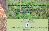 IFPR - Introducing Pulses in the Rice-Fallow areas - Mapping Ecologically Suitable Areas, Masood Ali, ICAR-IIPR