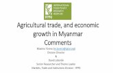 Agricultural trade, and economic growth in Myanmar (Comments)