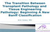 Kim Solez Transition transplant path to tissue engineering path new banff