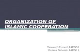 Organisation of islamic coorporation