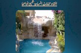 شركة حمامات سباحة لـ انشاء حمامات السباحة Egypt Swimming Pools