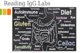 Ig g food sensitivity test results
