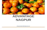 Advantage nagpur