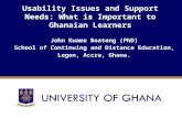 Usability Issues and Support Needs: What is Important to Ghanaian Learners
