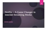 Netflix – A Game Changer in Internet streaming media