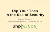 Dip Your Toes in the Sea of Security (PHP MiNDS January Meetup 2016)