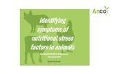 Identifying symptoms of nutritional stress factors in animals