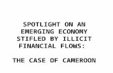 Spotlight on an Emerging Economy stifled by Illicit Financial Flows: The Case of Cameroon