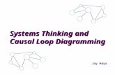 Systems Thinking, Human Body Metaphor, and Causal Loop Diagramming