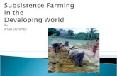 Subsistence Farming In The Developing World
