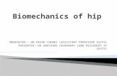 Biomechanics of hip