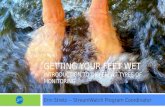 Intro Getting Your Feet Wet: Intro to Different Types of Monitoring