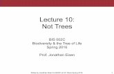 BiS2C: Lecture 10: Not Trees
