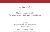 BIS2C: Lecture 31: Deuterosomes I: Echinoderms & Hemichordates