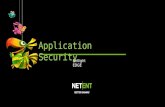 Application Security within Agile