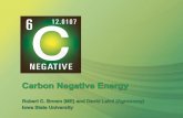 Carbon Negative Energy