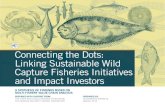 connecting the dots: linking sustainable Wild capture Fisheries ...
