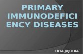 Seminar primary immunodeficiency syndrome