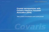 Continuous Flow Nanoparticles using AFA