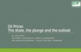 Oil Prices, the shale, the plunge and outlook