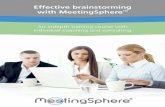Brainstorm course & MeetingSphere single host license bundle