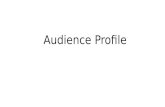 Music video Audience Profile