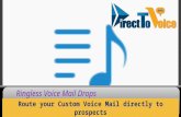 Direct2voice Opportunity Launch