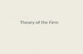 Theory of the Firm Lecture Notes (Economics)