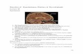 Lecture 20 disorders of hypothalamus, pituitary and thyroid glands - Pathology