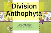 Plant Kingdom- Division Anthophyta