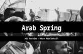 Social Media and Arab Spring