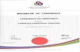 2. CC Greyling_Bachelor of Commerce