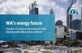 Deidre Willmott - Chamber of Commerce and Industry of Western Australia - WA’s Energy Future