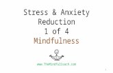 Stress & Anxiety Reduction - 1 of 4 - Mindfulness Training Online