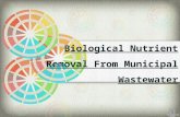 Biological Nutrient Removal