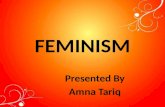 Feminism By Amna Tariq