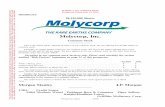 Molycorp prospectus