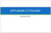 Effusion cytology - Diagnosis.