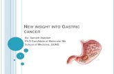 New insight in gastric cancer