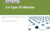 3.4 Type of Website