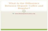 What Is the Difference Between Organic Coffee and Regular?
