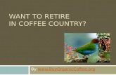 Want to Retire in Coffee Country?