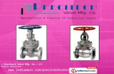 Y Type Strainer by Precitech Valve Mfg. Co. Ahmedabad