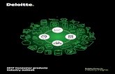 2017 Consumer Products Industry Outlook by DELOITTE