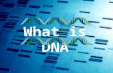 Brief Description About What is DNA