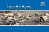 UNDP DDR Practice Note.pdf