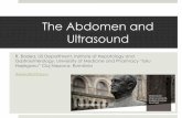 The Abdomen and Ultrasound